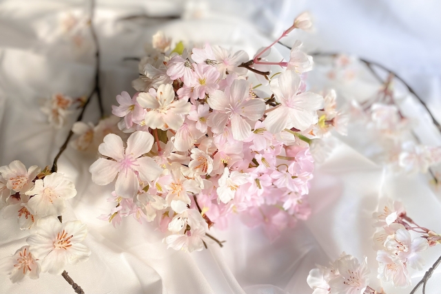桜