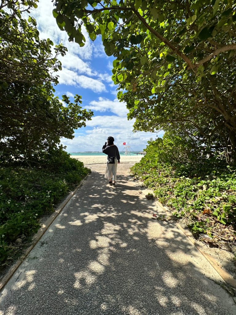 ビーチと木漏れ日